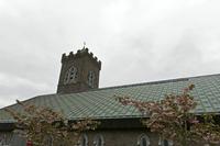 Cjp_2017-04-11_131832.jpg