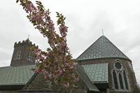 Cjp_2017-04-11_131900.jpg