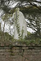 Cjp_2017-04-11_132424.jpg