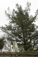 Cjp_2017-04-11_132432.jpg