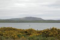 Cjp_2017-04-11_134912.jpg