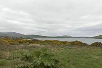 Cjp_2017-04-11_134918.jpg