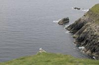Cjp_2017-04-11_141100.jpg