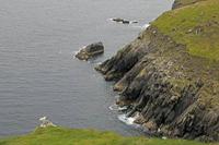 Cjp_2017-04-11_141118.jpg