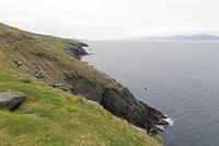 Cjp_2017-04-11_141556.jpg