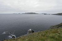 Cjp_2017-04-11_141816.jpg