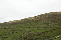 Cjp_2017-04-11_142552.jpg