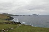 Cjp_2017-04-11_143126.jpg