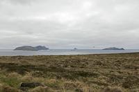 Cjp_2017-04-11_144344.jpg