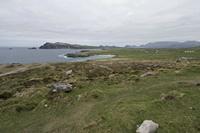 Cjp_2017-04-11_144624.jpg