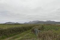 Cjp_2017-04-11_150040.jpg