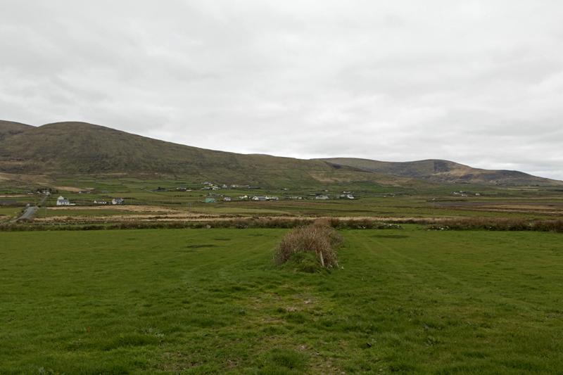 Cjp_2017-04-11_155144.jpg