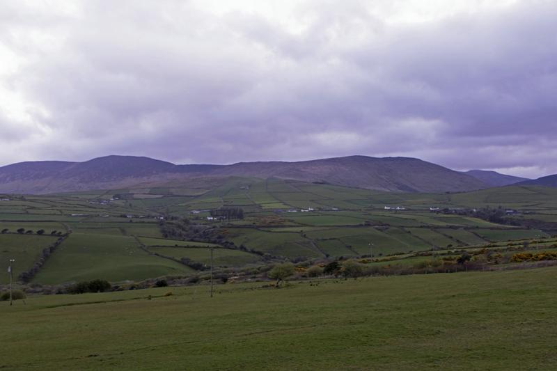 Cjp_2017-04-12_063338.jpg