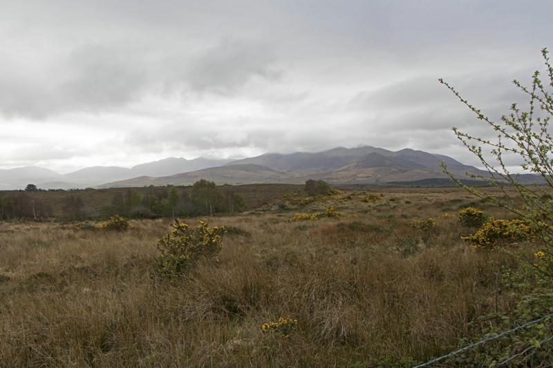Cjp_2017-04-12_090742.jpg