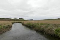 Cjp_2017-04-11_154608.jpg