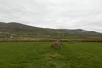 Cjp_2017-04-11_155144.jpg