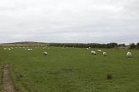 Cjp_2017-04-11_155210.jpg