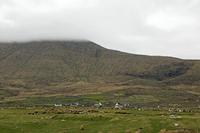 Cjp_2017-04-11_155644.jpg