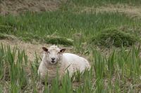 Cjp_2017-04-11_155658.jpg