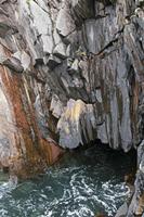 Cjp_2017-04-11_161408.jpg