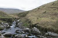 Cjp_2017-04-11_162048.jpg