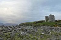 Cjp_2017-04-12_062534.jpg