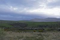 Cjp_2017-04-12_063104.jpg