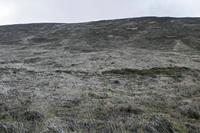 Cjp_2017-04-12_063250.jpg