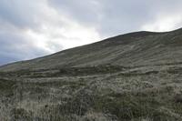 Cjp_2017-04-12_063256.jpg