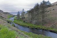 Cjp_2017-04-12_064228.jpg