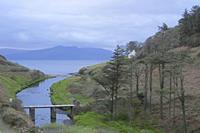 Cjp_2017-04-12_064320.jpg