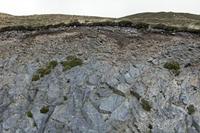 Cjp_2017-04-12_064544.jpg