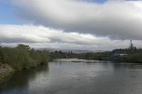Cjp_2017-04-12_081518.jpg