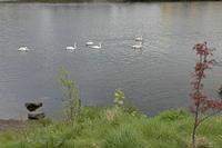 Cjp_2017-04-12_085854.jpg