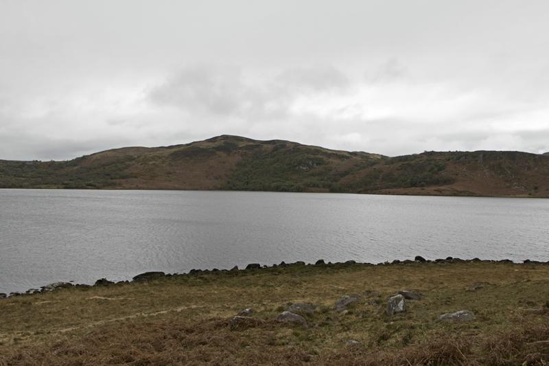 Cjp_2017-04-12_120254.jpg