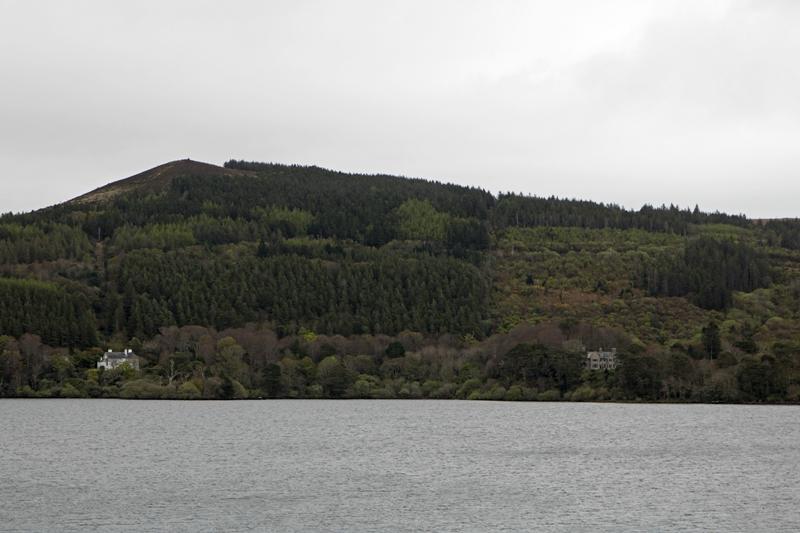 Cjp_2017-04-12_120300.jpg