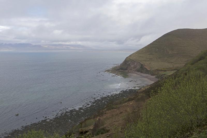 Cjp_2017-04-12_123120.jpg