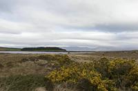 Cjp_2017-04-12_091332.jpg