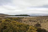 Cjp_2017-04-12_091344.jpg
