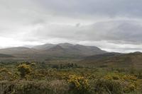 Cjp_2017-04-12_091530.jpg