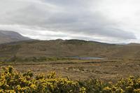 Cjp_2017-04-12_091632.jpg
