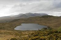 Cjp_2017-04-12_091812.jpg