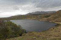 Cjp_2017-04-12_092158.jpg
