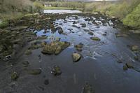 Cjp_2017-04-12_093906.jpg