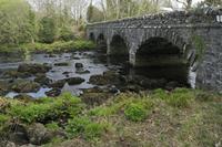 Cjp_2017-04-12_094428.jpg