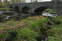 Cjp_2017-04-12_094548.jpg