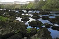 Cjp_2017-04-12_094646.jpg