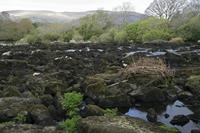 Cjp_2017-04-12_094808.jpg