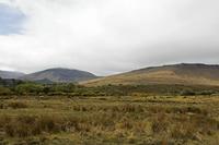 Cjp_2017-04-12_113130.jpg