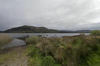 Cjp_2017-04-12_113846.jpg